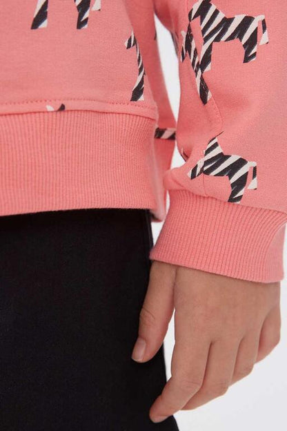 Compañia Fantástica - Sweat Safari